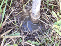 waterlogged soil at mullumbimby woolworths site in July 2008 the dry season