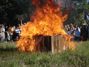 burning the carboard woolworths coffin in mullumbimby