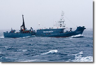 Yushin_Maru no 2 from www.seashepherd.org