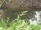 Woolworths Sewerage Still Bogged In The Mud