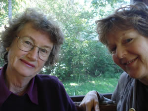 Sylvia Hale and Deborah Lilly Discuss the NSW Planning Crisis