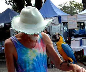 The Buzz Of The Mullumbimby Farmers Market