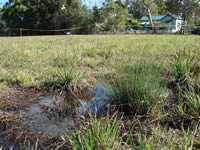 The most outrageous aspect of the S96 Amendments to the Woolworths proposal is their sewage plan.